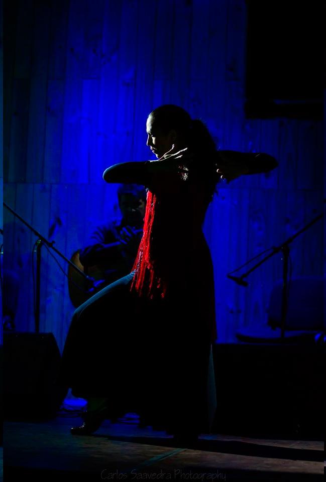 Geo Métrica - Flamenco Latinoamericano