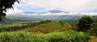 _Viajes_a Colombia