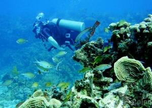 Isla San Andr�s