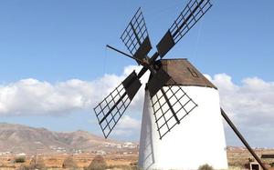 Molino