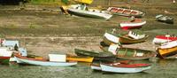 Los Lagos