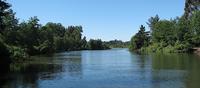 Valdivia