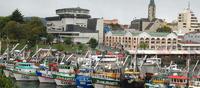 Valdivia