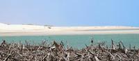 Jericoacoara