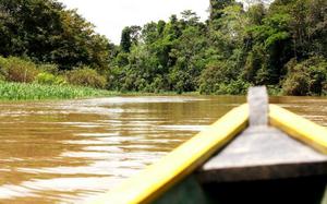 Leticia - Amazonas
