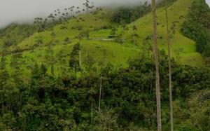 Armenia, Colombia