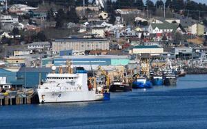 Kodiak