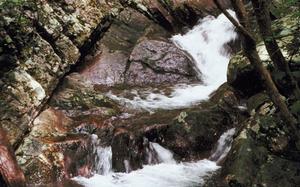Cascada