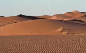 Desierto