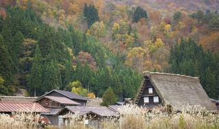 Toyama