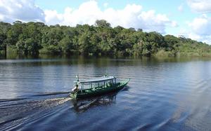 Manaus