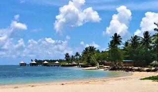 Apia