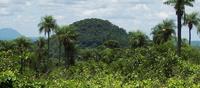 Asuncion