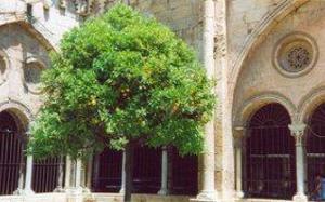 Tarragona