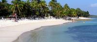 Holguin