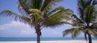 Barahona