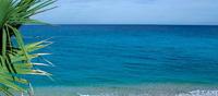 Barahona
