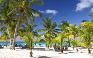 Isla Saona
