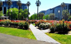 sacramento