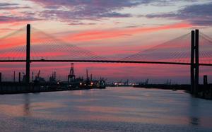 Savannah