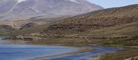 Arica