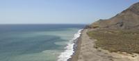 Arica