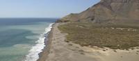 Arica