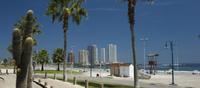 Iquique