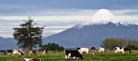 Puerto Varas