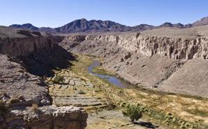 calama 4