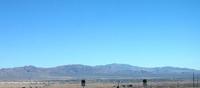 Calama