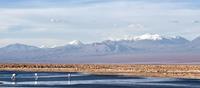 San Pedro de Atacama
