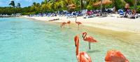Aruba