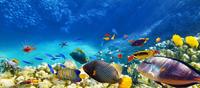 _Viajes_a Bahamas