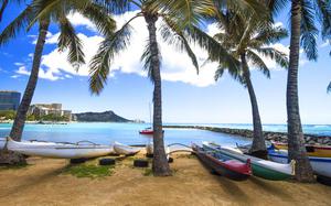 Waikiki Beach
