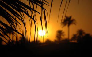 atardecer