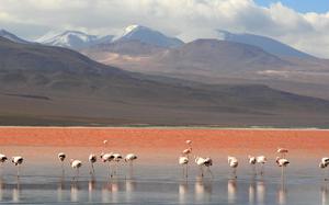 Uyuni