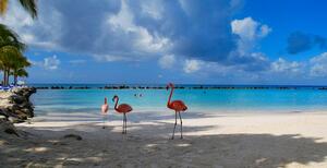 Aruba