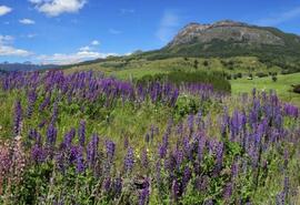 Coyhaique