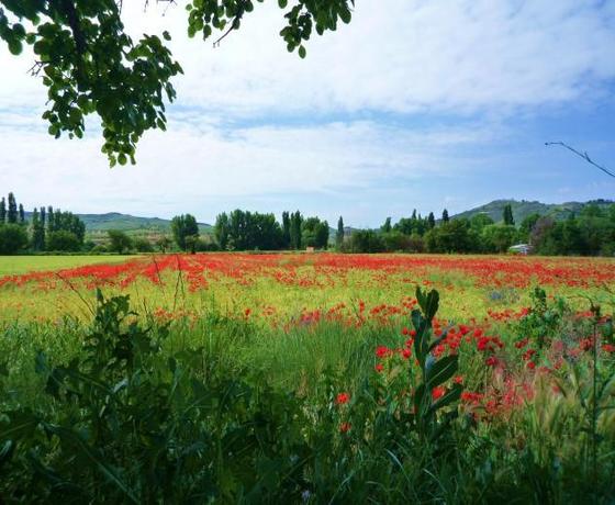 Foto destino