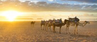 Marruecos al completo en 8 d�as desde Marrakech