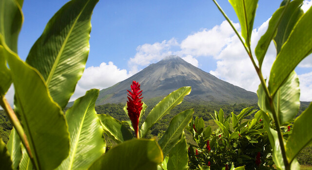 798674 Costa Rica m�gica 9 d�as, Conducci�n por cuenta propia 2