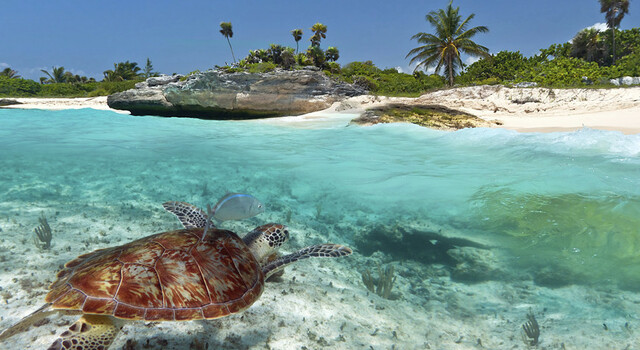 Riviera Maya 4