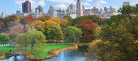 Nueva York a tu aire
