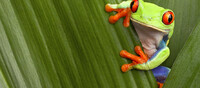 Costa Rica en 15 d�as