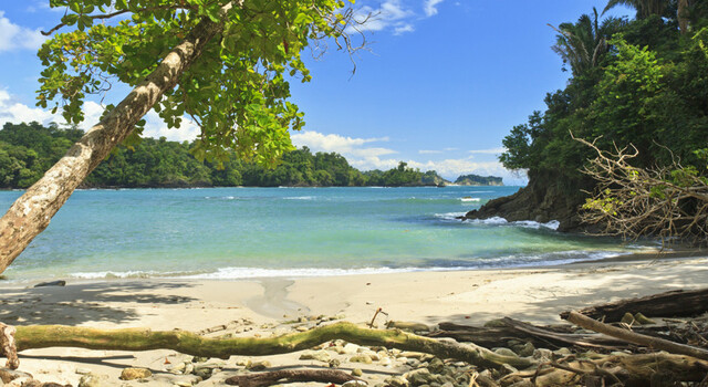 797835 Costa Rica completa 15 d�as 2