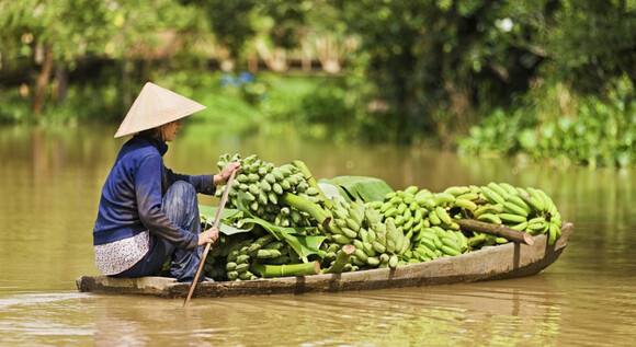 Vietnam cl�sico y templos de Angkor
