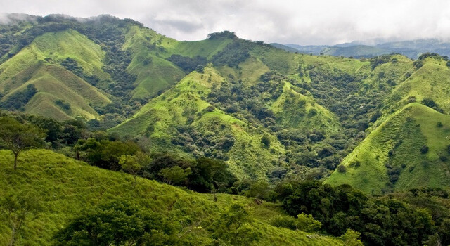 451703 Tesoros de Costa Rica 2