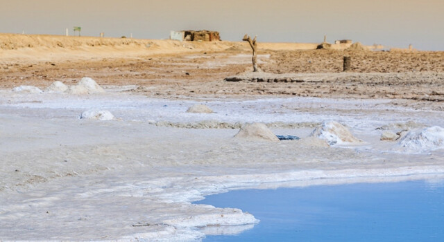 La magia del desierto 2