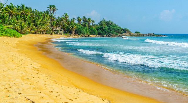 Sri Lanka, tierra de las maravillas 4